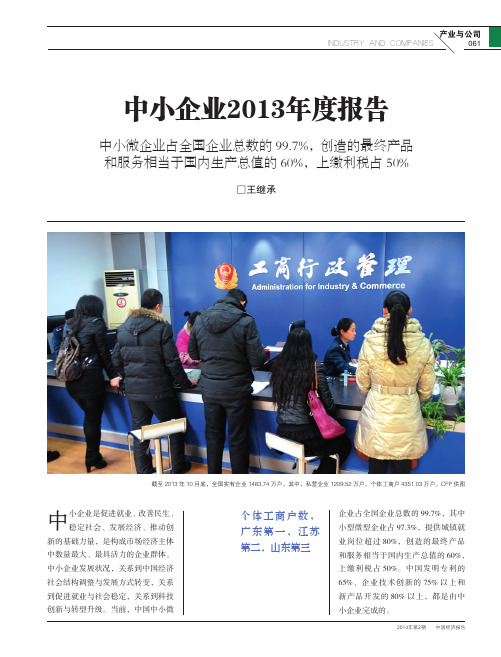 中小企业2013年度报告_王继承