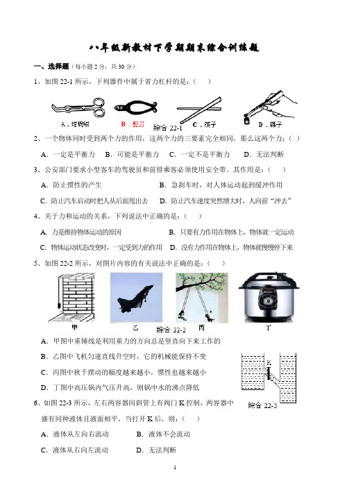 八年级新教材下学期期末综合训练题