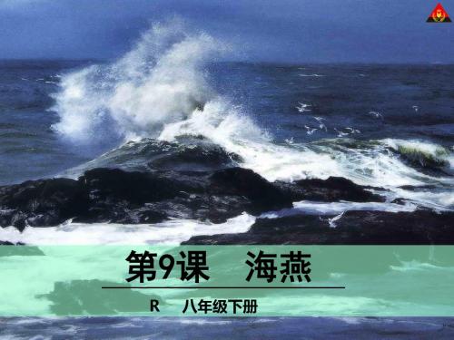 《海燕》精品课件
