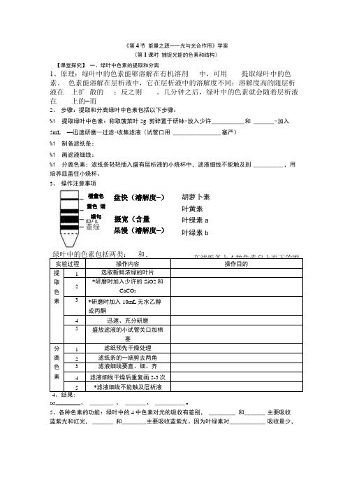 光合作用学案及答案.doc