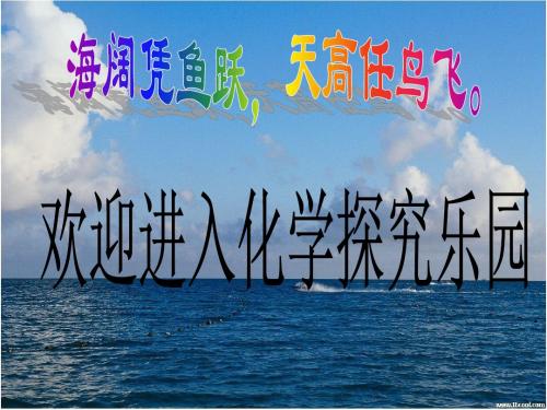 九年级化学 金属的化学性质课件 鲁教版