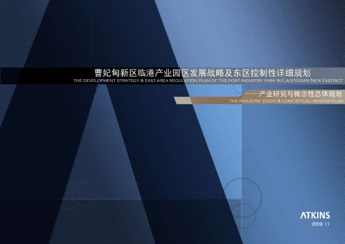[ATKINS阿特金斯]曹妃甸新区临港产业园区发展战略及东区控制性详细规划