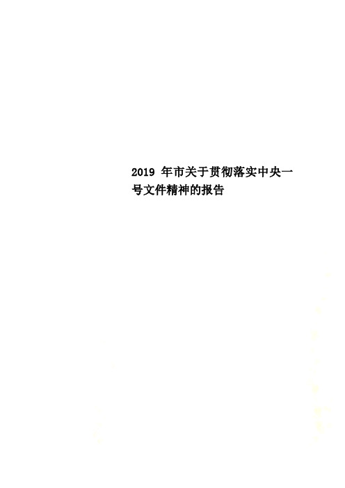 2019年市关于贯彻落实中央一号文件精神的报告