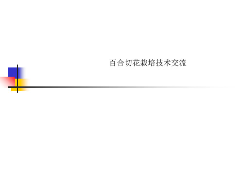 百合切花栽培技术交流
