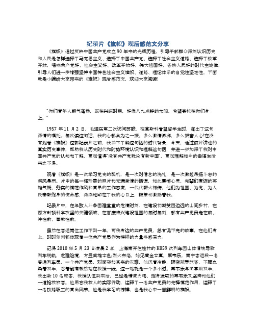 纪录片《旗帜》观后感范文分享
