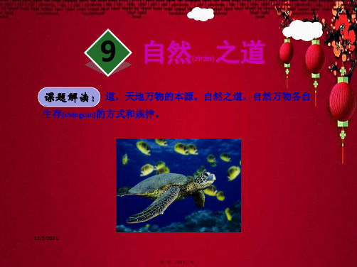 四年级语文下册 第三单元 9 自然之道课件1小学四年级下册语文课件