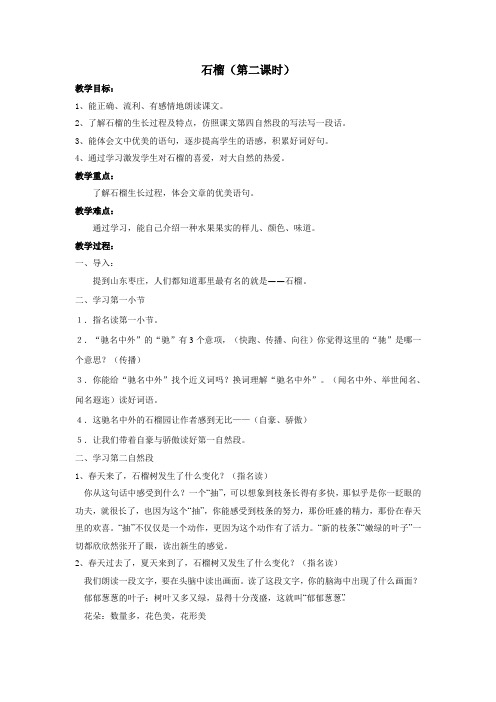 石榴2