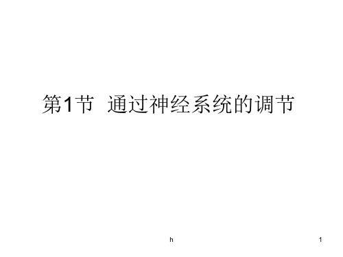 轮复习必修三通过神经系统的调节资料