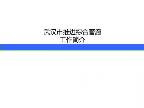 武汉市综合管廊建设情况PPT课件