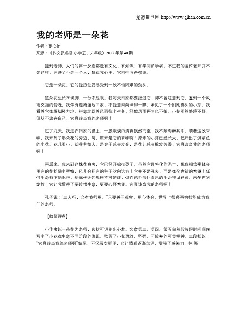 我的老师是一朵花
