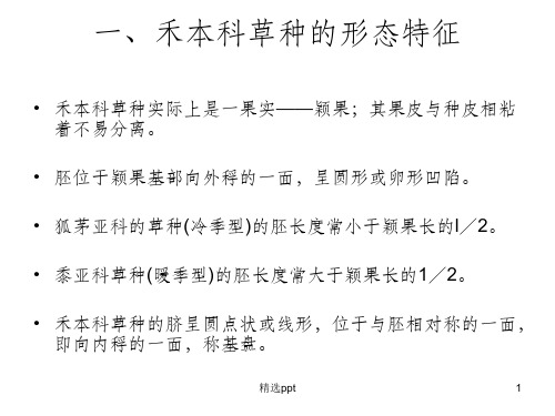 《草坪种子识别》PPT课件