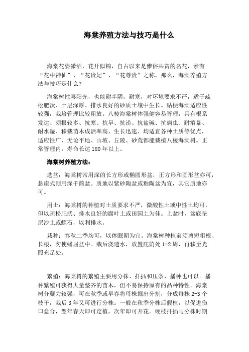海棠养殖方法与技巧是什么