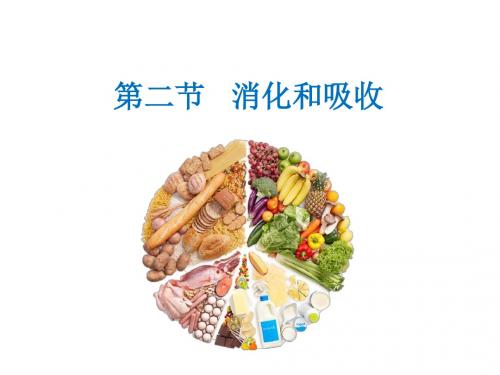 2018初中生物人教版七年级下册PPT课件4.2.2消化和吸收
