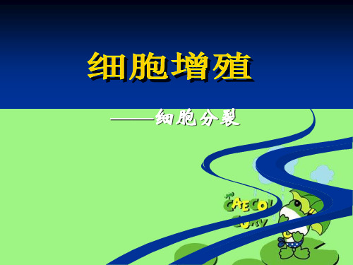 细胞增殖——细胞分化 中图版精品公开PPT课件
