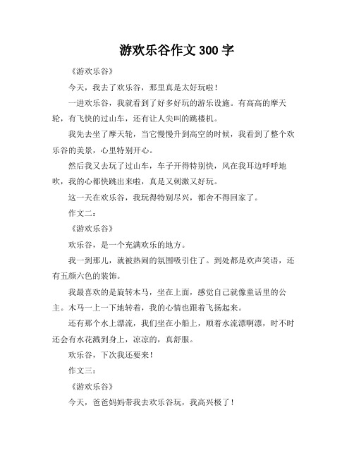 游欢乐谷作文300字