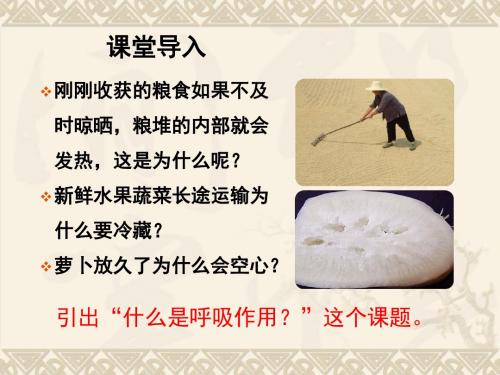 冀教版八年级上册(新)第四章第一节 呼吸作用(共28张PPT)