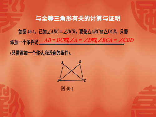 鲁教版(五四制)数学七年级下册第十章与三角形有关的证明习题课(31张PPT)