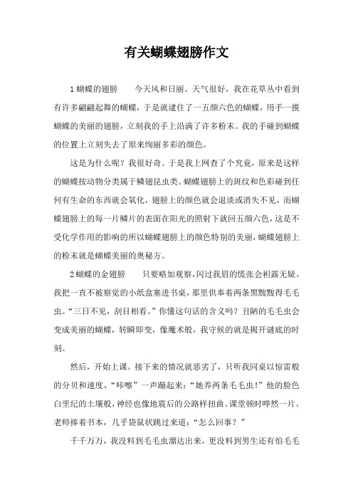 有关蝴蝶翅膀作文