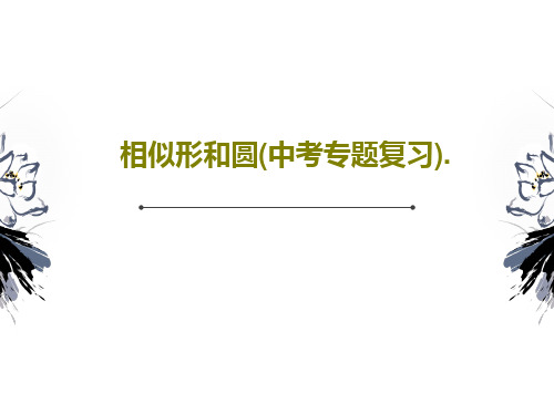 相似形和圆(中考专题复习).PPT文档共44页