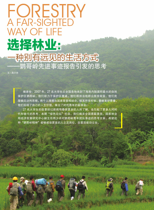 选择林业：一种别有远见的生活方式——鹦哥岭先进事迹报告引发的思考