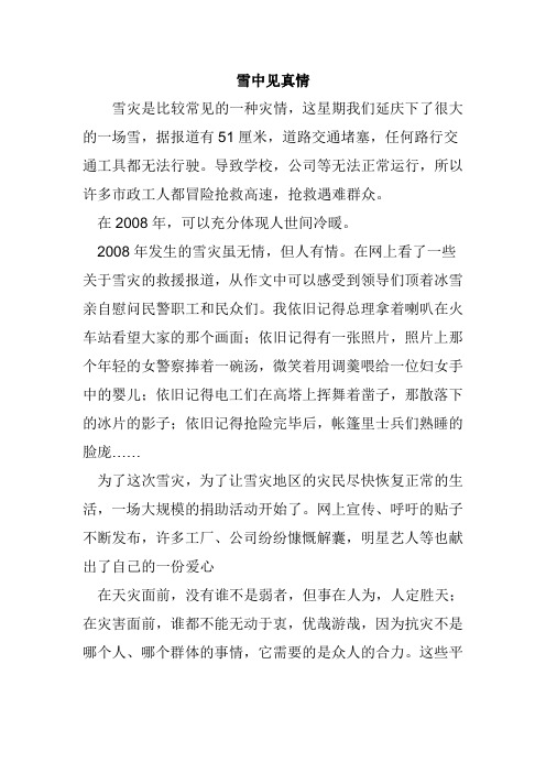 雪中见真情