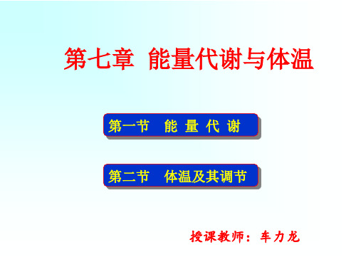 7.能量代谢与体温