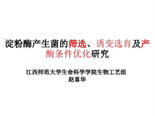 淀粉酶产生菌的筛选诱变选育及产酶条件优化研究