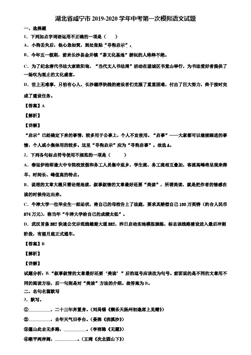 湖北省咸宁市2019-2020学年中考第一次模拟语文试题含解析