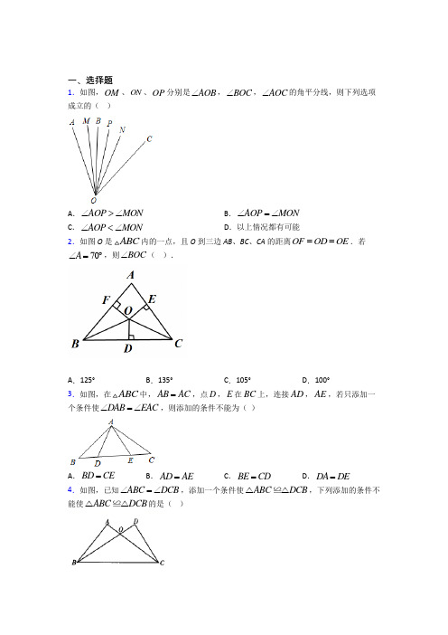 黑龙江牡丹江市八年级数学上册第十二章《全等三角形》经典测试(培优专题)