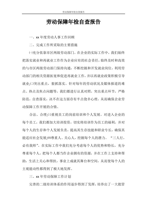 自查报告 劳动保障年检自查报告