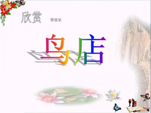 鸟店 PPT优秀课件2