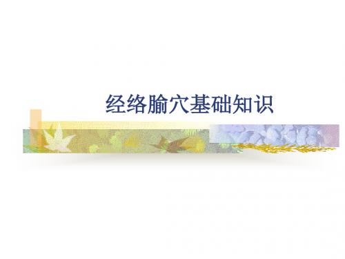 经络腧穴基础知识