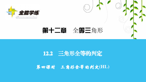 人教版数学八年级上册第四课时 三角形全等的判定(HL)课件