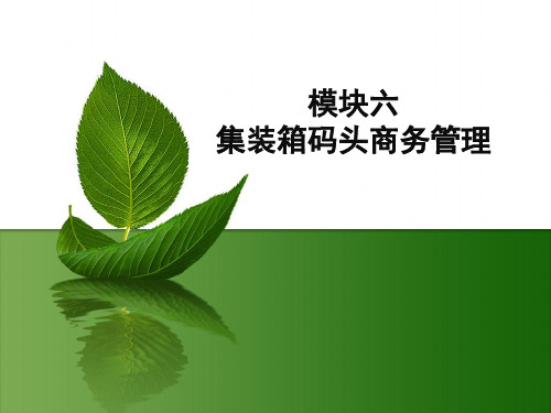 电子课件-《集装箱码头操作与管理实训(第二版)》-B26-7998 模块六之任务3