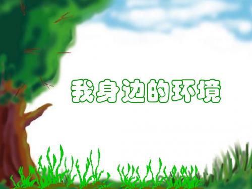 六年级品德与社会上册课件PPT 我身边的环境