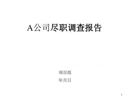 某公司投资报告模本(ppt 141页)
