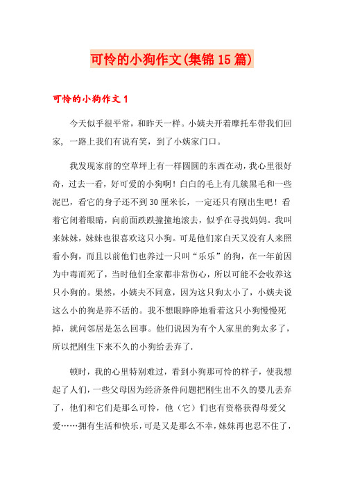 可怜的小狗作文(集锦15篇)