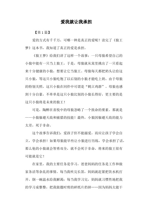 爱我就让我承担