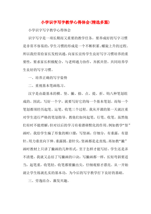 小学识字写字教学心得体会(精选多篇)
