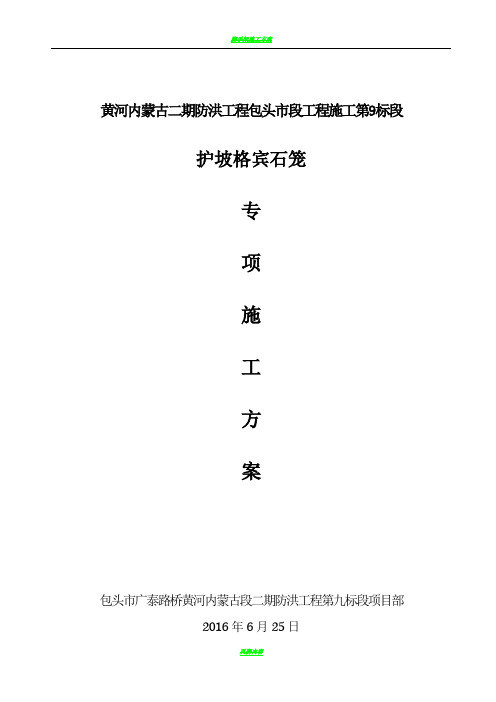 格宾石笼护坡  专项方案