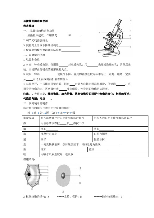 显微镜结构层次复习填空
