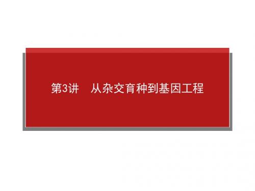 高考生物一轮复习课件：2.4.3从杂交育种到基因工程