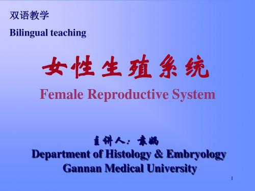 女性生殖系统ppt课件
