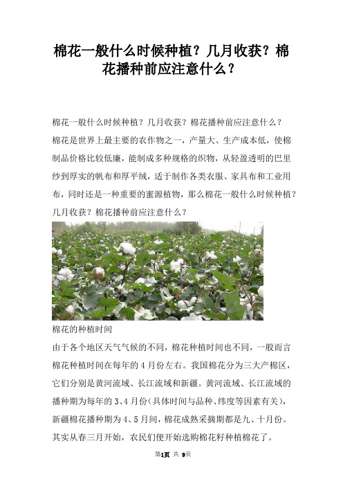 棉花一般什么时候种植？几月收获？棉花播种前应注意什么？