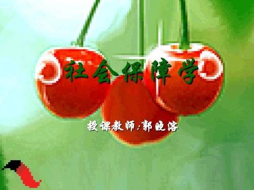 平等与效率