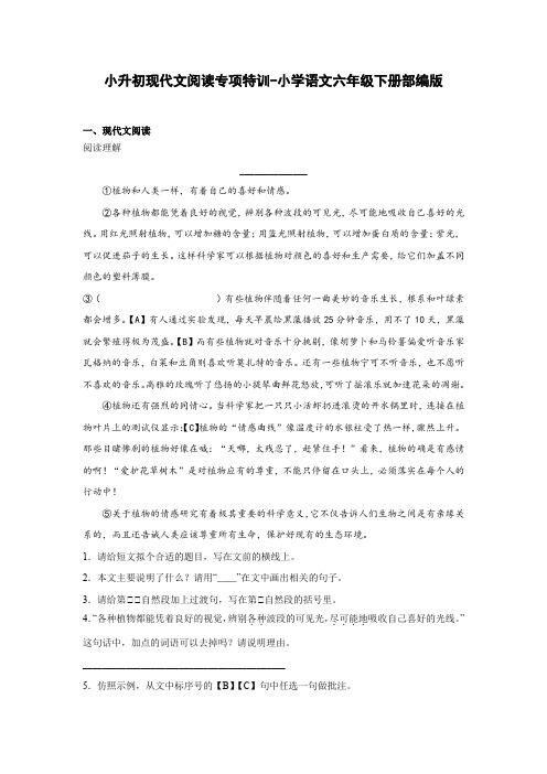 小升初现代文阅读专项特训-2022-2023学年语文六年级下册(部编版)(有答案)