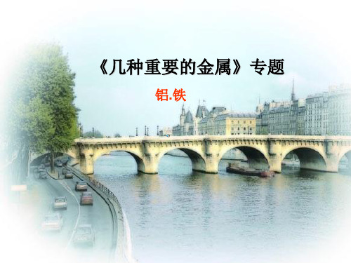 几种重要的金属 人教课标版精选教学PPT课件