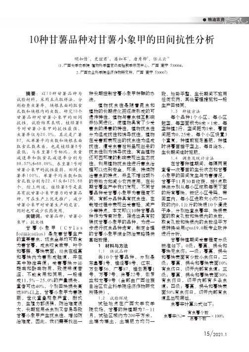 10种甘薯品种对甘薯小象甲的田间抗性分析