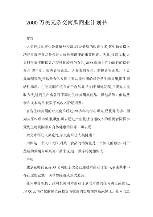 2000万美元杂交南瓜商业计划书_详细