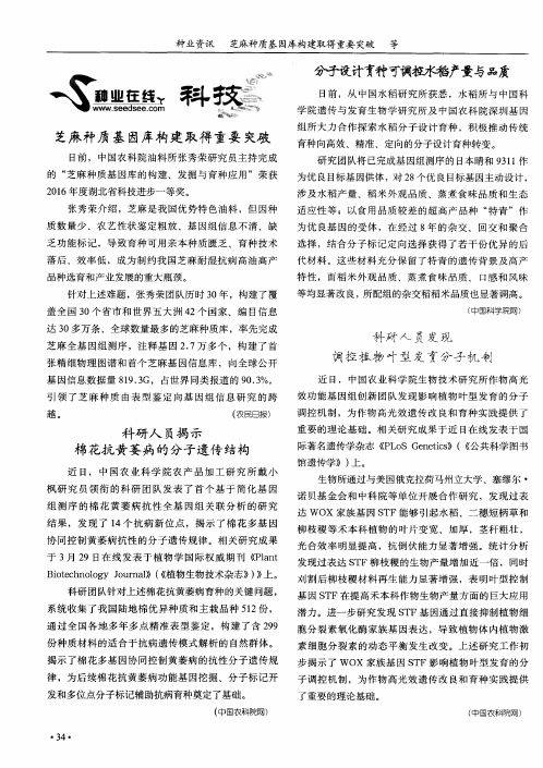 分子设计育种可调控水稻产量与品质